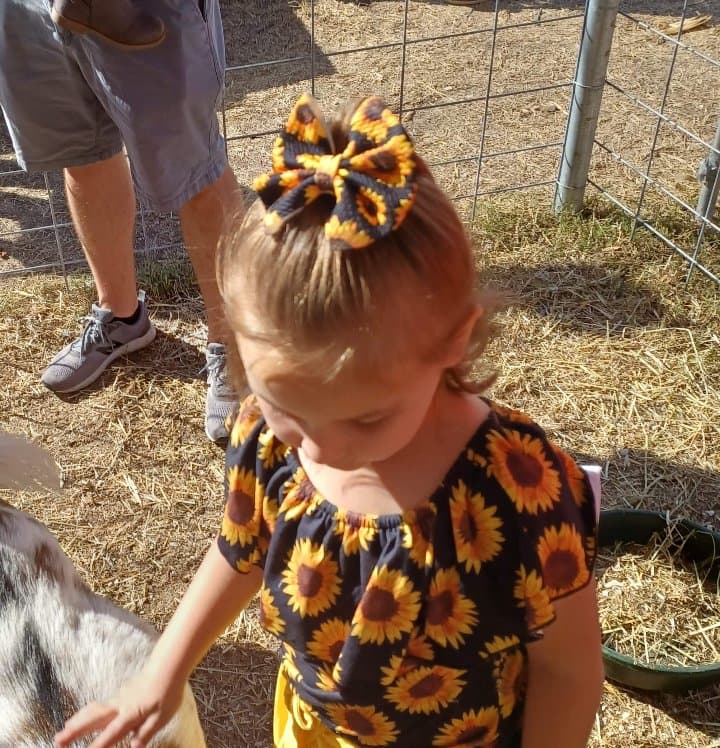Spring Highland Cow Kenzie Bow
