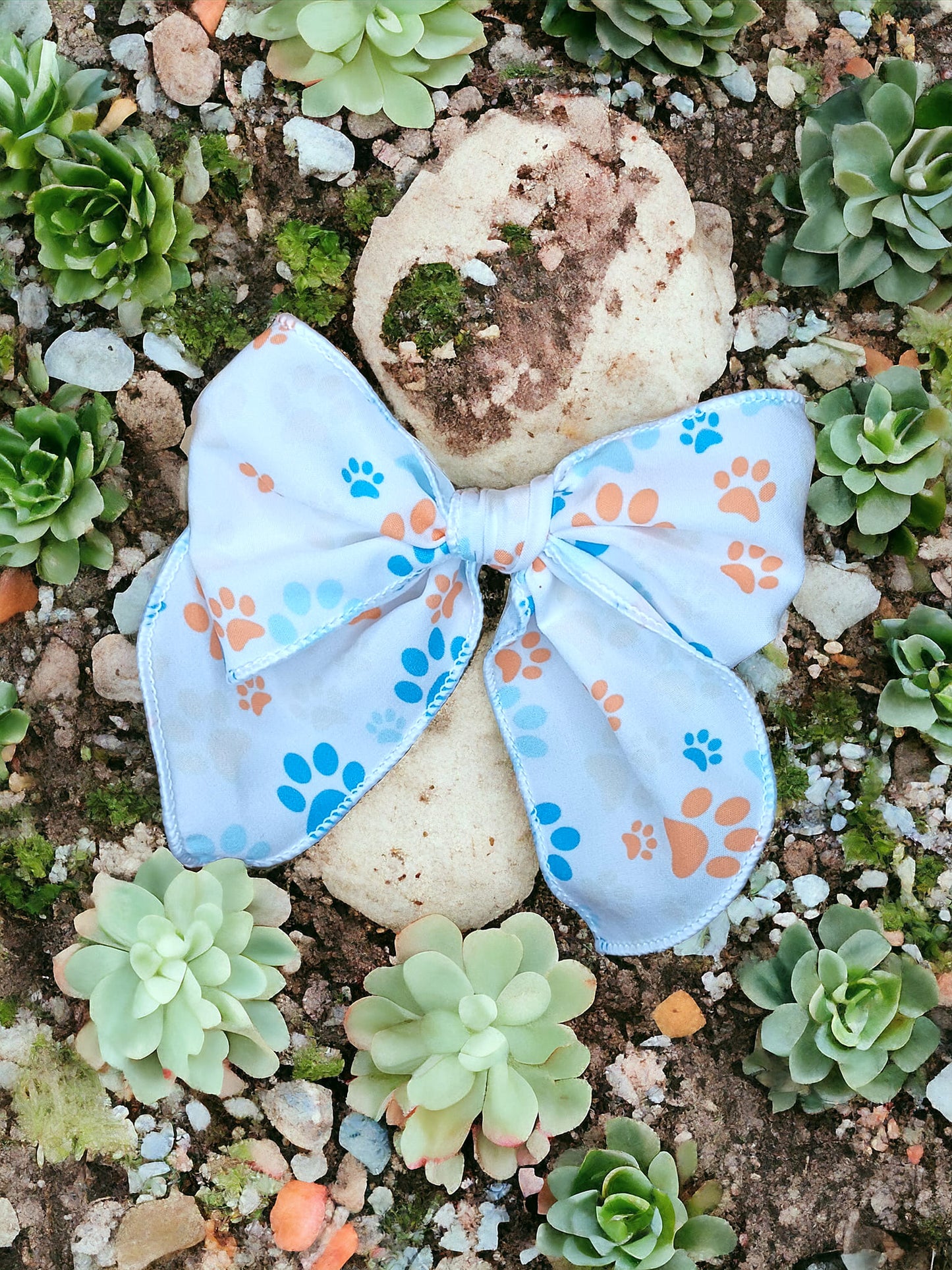 Paw Prints Head Saylor